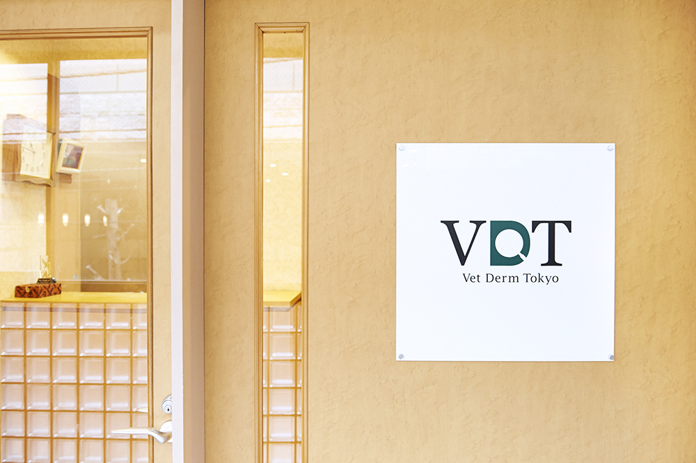 VDT（Vet Derm Tokyo）皮膚科診療のご紹介