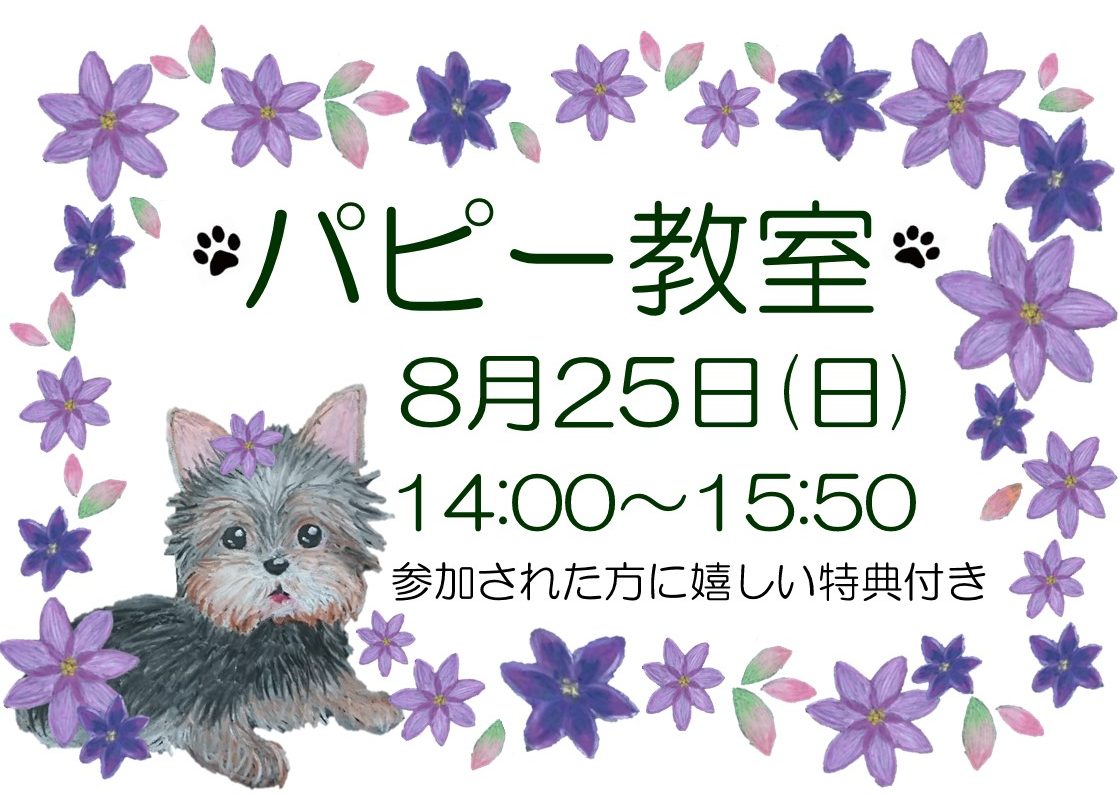 ８月パピー教室のご案内