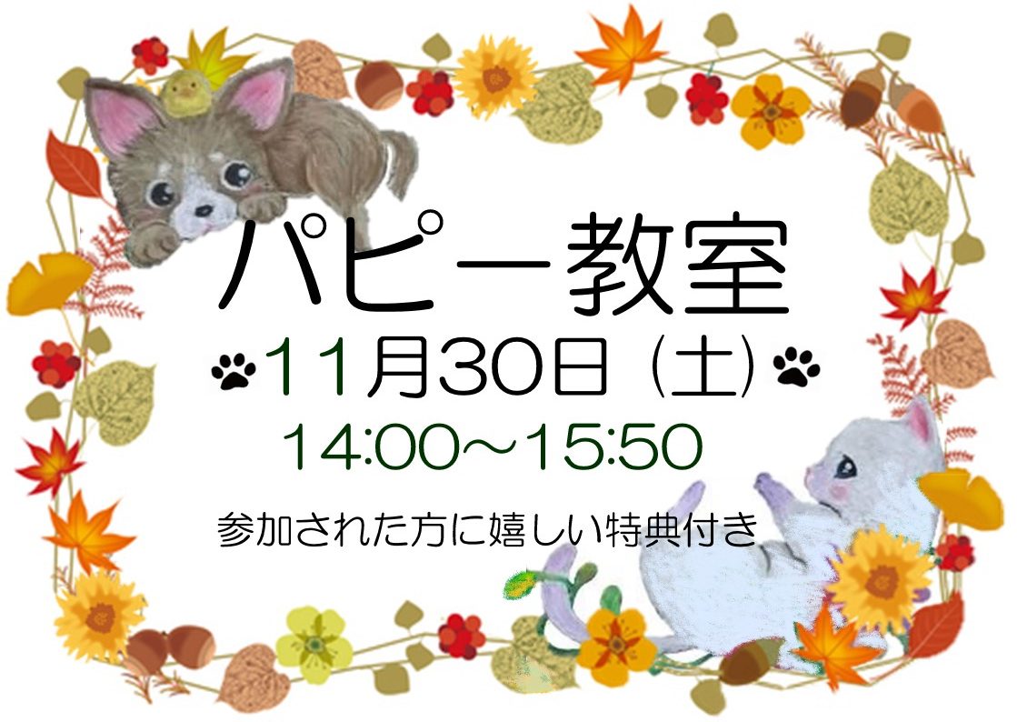 11月パピー教室のご案内