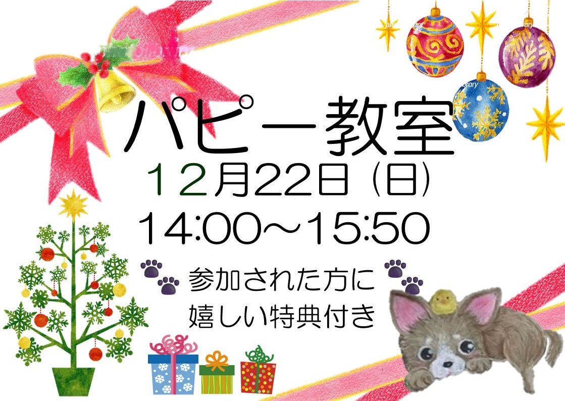 12月パピー教室のご案内