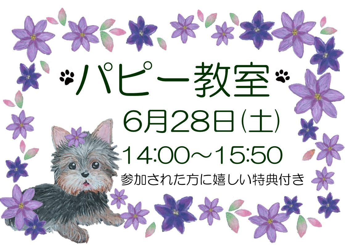 6月パピー教室のご案内