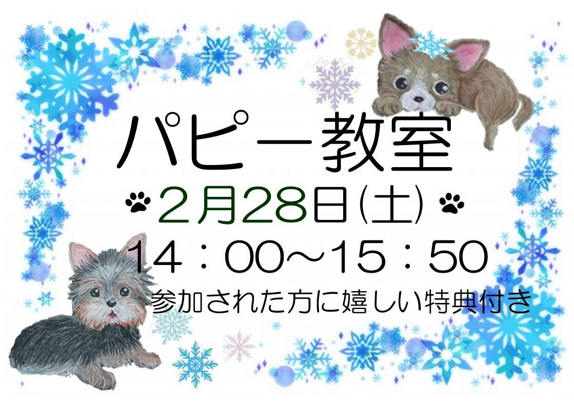 2月パピー教室のご案内
