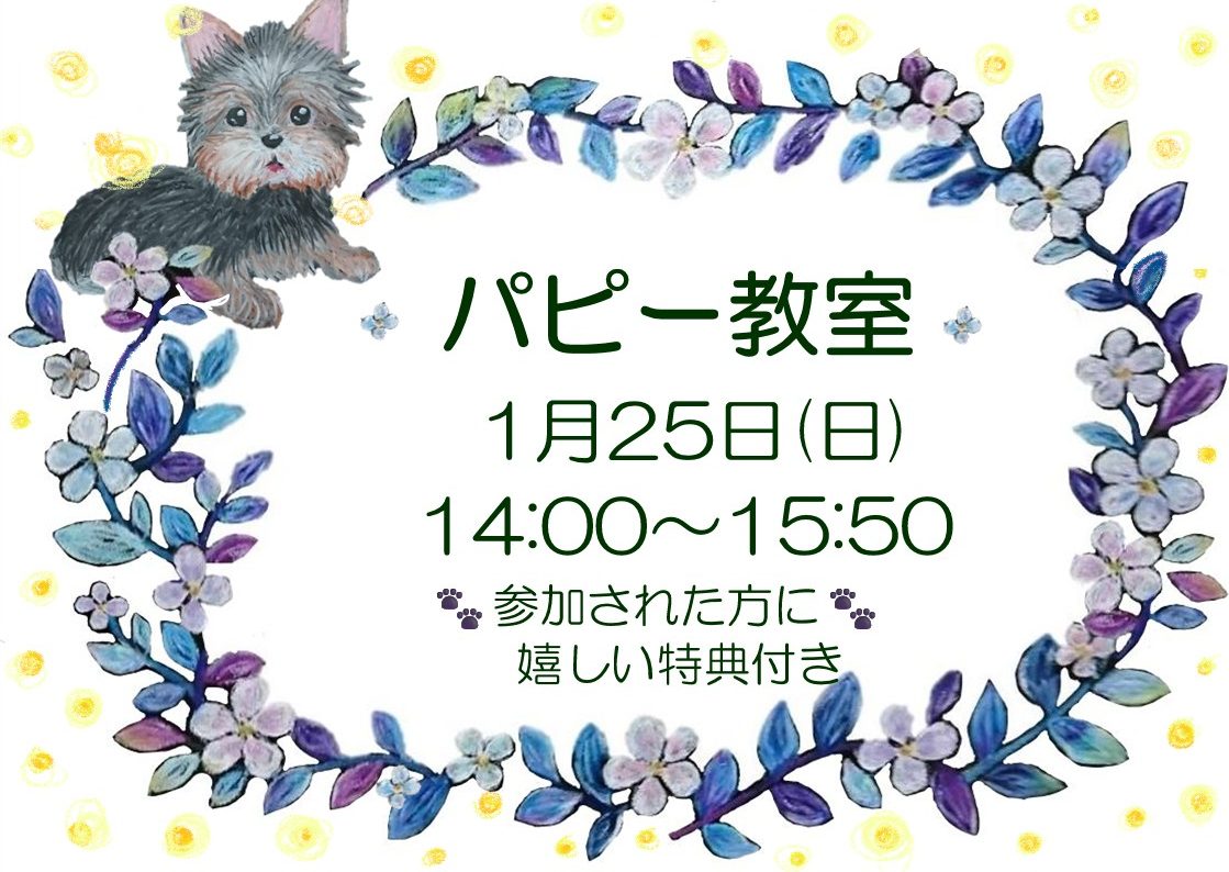 1月パピー教室のご案内