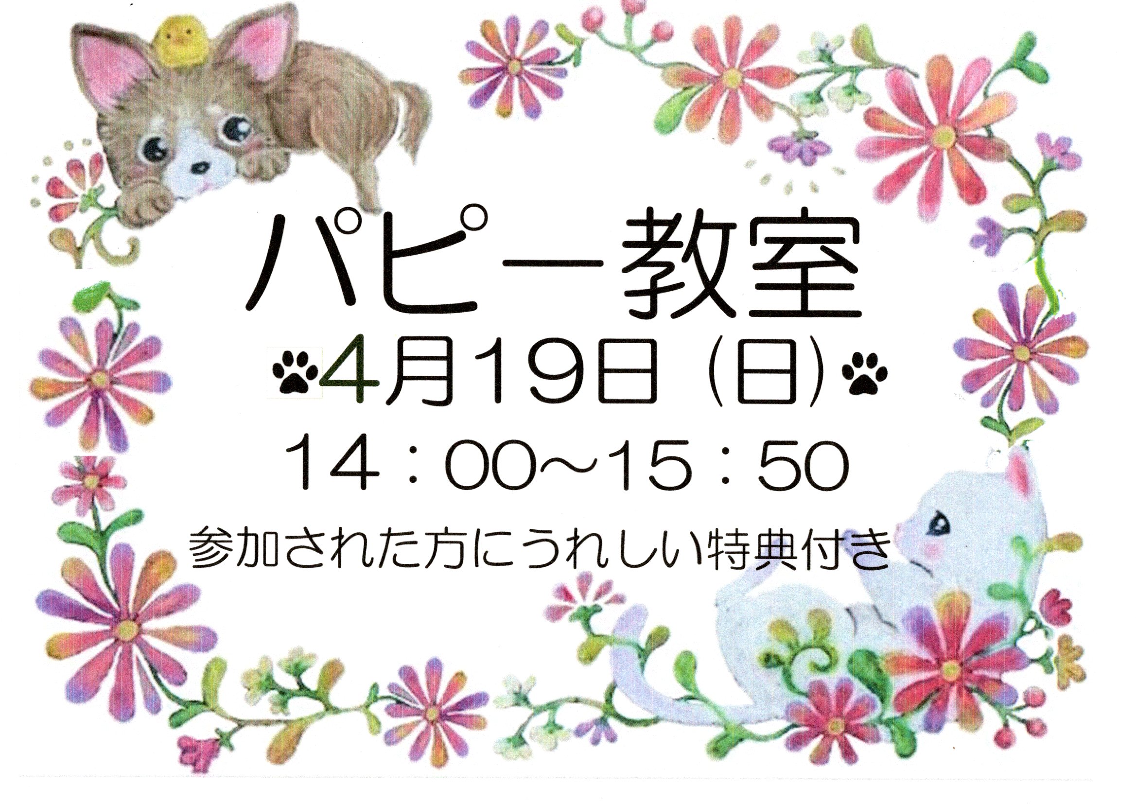 4月のパピー教室のご案内