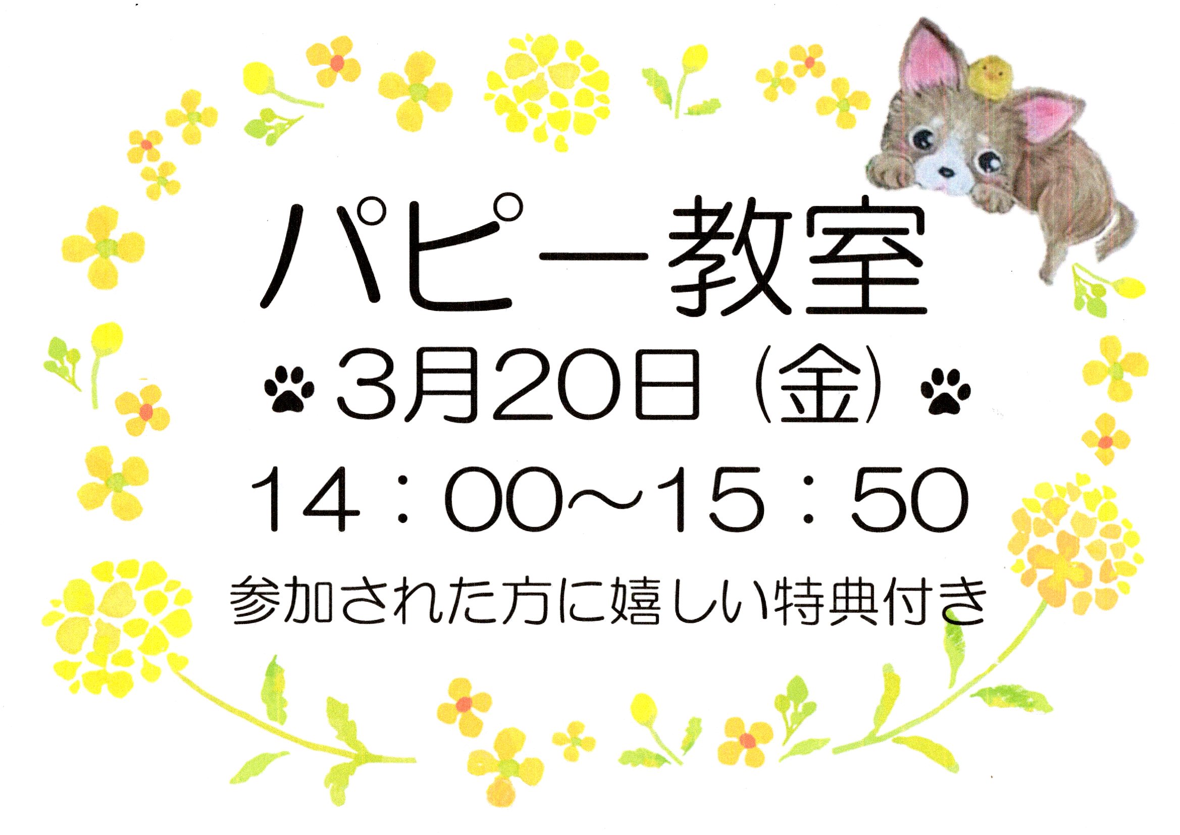 3月のパピー教室のご案内